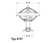 Termostat, chladivo BorgWarner (Wahler) 4137.80D