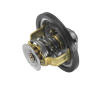 Termostat, chladivo BorgWarner (Wahler) 4151.76D