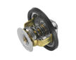 Termostat, chladivo BorgWarner (Wahler) 4162.79D