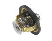 Termostat, chladivo BorgWarner (Wahler) 4174.82D