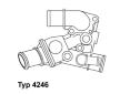 Termostat chladenia BorgWarner (Wahler) 4246.80D