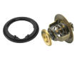 Termostat, chladivo BorgWarner (Wahler) 4269.78D
