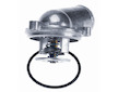 Termostat, chladivo BorgWarner (Wahler) 4276.87D