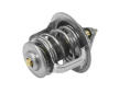 Termostat, chladivo BorgWarner (Wahler) 4634.76