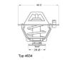 Termostat, chladivo BorgWarner (Wahler) 4634.76