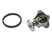 Termostat, chladivo BorgWarner (Wahler) 4821.89D