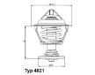 Termostat, chladivo BorgWarner (Wahler) 4821.89D