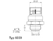 Teplotní spínač, větrák chladiče BorgWarner (Wahler) 6039.95D