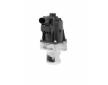 AGR-Ventil BorgWarner (Wahler) 710559D/1