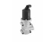 AGR-Ventil BorgWarner (Wahler) 710837D