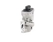 AGR-Ventil BorgWarner (Wahler) 710925R