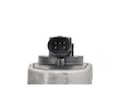 AGR-Ventil BorgWarner (Wahler) 710925R