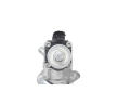 AGR-Ventil BorgWarner (Wahler) 710979D