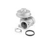 AGR-Ventil BorgWarner (Wahler) 712052D