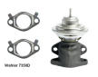 AGR-Ventil BorgWarner (Wahler) 7350D