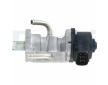 AGR-Ventil DELPHI EG10758-12B1
