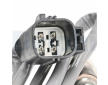 Lambda sonda DELPHI ES21589-12B1