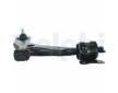 Rameno zavesenia kolies DELPHI TC1450