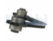 Rameno zavesenia kolies DELPHI TC5493