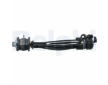 Rameno zavesenia kolies DELPHI TC5536