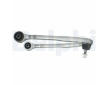 Rameno zavesenia kolies DELPHI TC5799