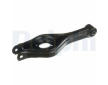 Rameno zavesenia kolies DELPHI TC6110