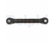 Rameno zavesenia kolies DELPHI TC6800