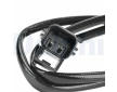 Cidlo, teplota vyfukovych plynu DELPHI TS30402-12B1