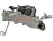 AGR-Ventil METZGER AUTOTEILE 0892319