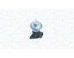AGR-Ventil MAGNETI MARELLI 571822112220