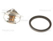 Termostat, chladivo TRISCAN 8620 11492