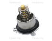 Termostat, chladivo TRISCAN 8620 557103