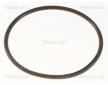 Termostat, chladivo TRISCAN 8620 5892