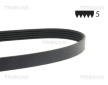 ozubený klínový řemen TRISCAN 8640 500810
