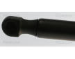 Pneumatická pružina, zavazadlový / nákladový prostor TRISCAN 8710 29317