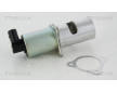 AGR-Ventil TRISCAN 8813 10100