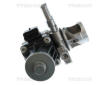 AGR-Ventil TRISCAN 8813 10119