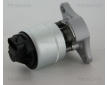 AGR-Ventil TRISCAN 8813 21006