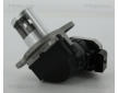 AGR-Ventil TRISCAN 8813 23006