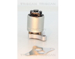 AGR-Ventil TRISCAN 8813 24002