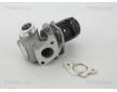 AGR-Ventil TRISCAN 8813 28003