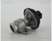 AGR-Ventil TRISCAN 8813 29034