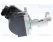AGR-Ventil TRISCAN 8813 29043