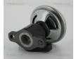 AGR-Ventil TRISCAN 8813 43005