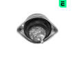 Zavěšení motoru OPTIMAL F8-5425
