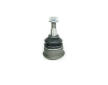 Podpora-/ Kloub CORTECO 49395946