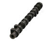 Vačkový hřídel JAPANPARTS AA-DW003