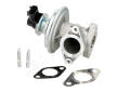 AGR-Ventil JAPANPARTS EGR-0317