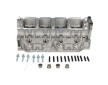 Hlava valcov motora JAPANPARTS XX-RE02ES
