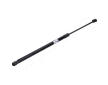 Pneumatická prużina, Batożinový/nákladný priestor JAPANPARTS ZS04069